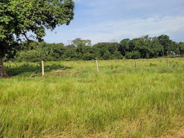 Fazenda para Venda em Pedro Gomes - 5