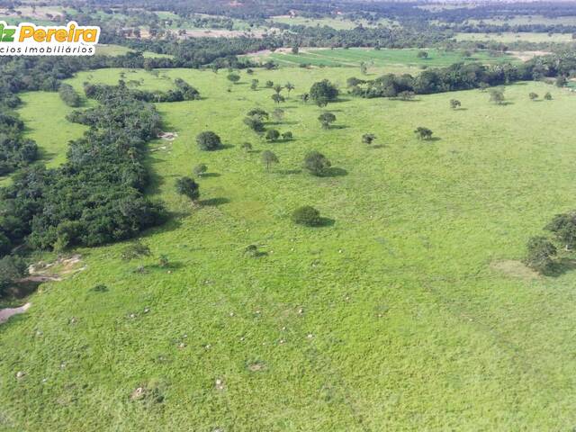 #2691 - Fazenda para Venda em Pedro Gomes - MS - 2