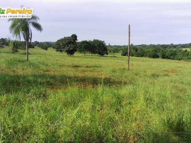 Fazenda para Venda em Pedro Gomes - 4