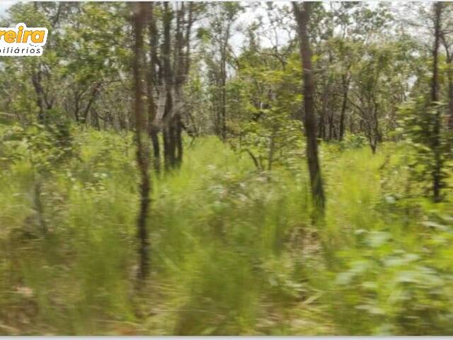 Fazenda para Venda em Loreto - 4