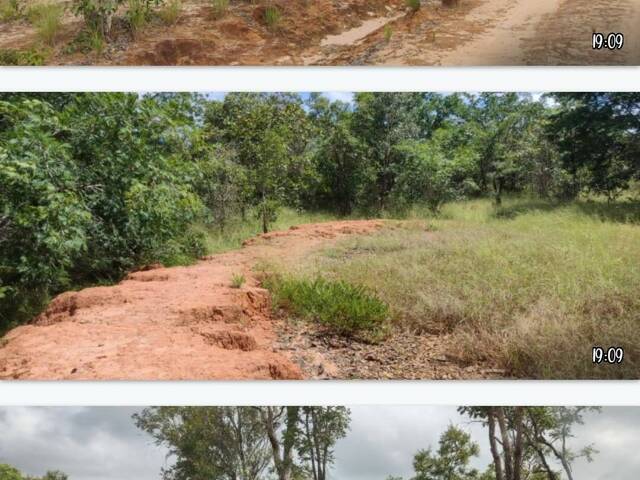 Fazenda para Venda em Loreto - 5