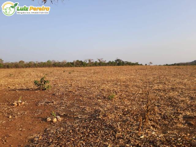 #2696 - Fazenda para Venda em Porto Nacional - TO - 2