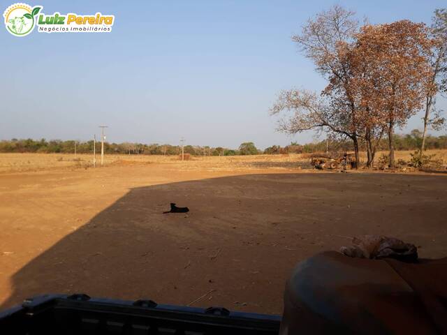 #2696 - Fazenda para Venda em Porto Nacional - TO - 1