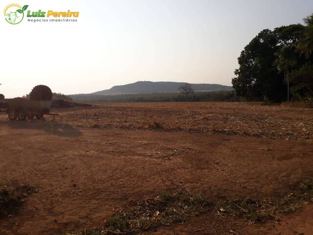 Fazenda para Venda em Porto Nacional - 4