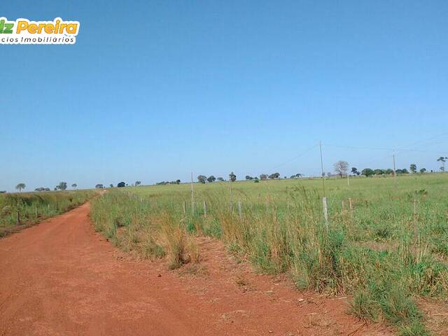 Fazenda para Venda em Dueré - 5