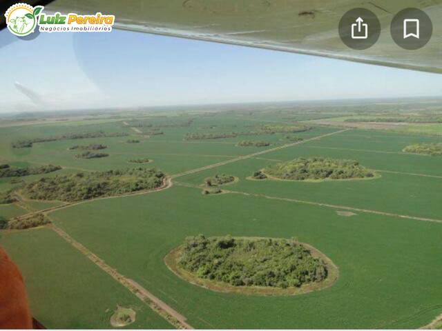 #2690 - Fazenda para Venda em Dueré - TO