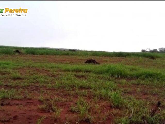 #2698 - Fazenda para Venda em Balsas - MA - 2