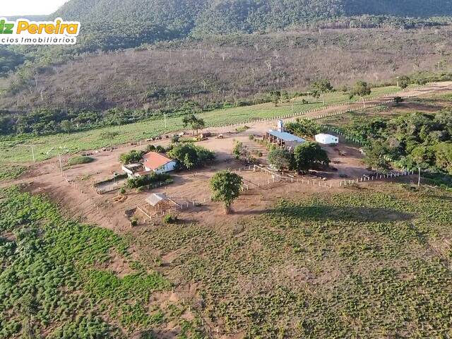 #2701 - Fazenda para Venda em Sucupira do Norte - MA