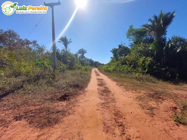 Fazenda para Venda em Sucupira do Norte - 5