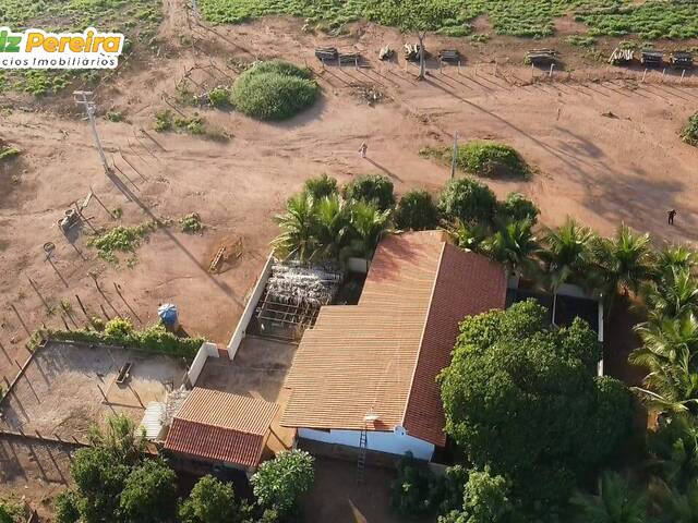 #2701 - Fazenda para Venda em Sucupira do Norte - MA - 2