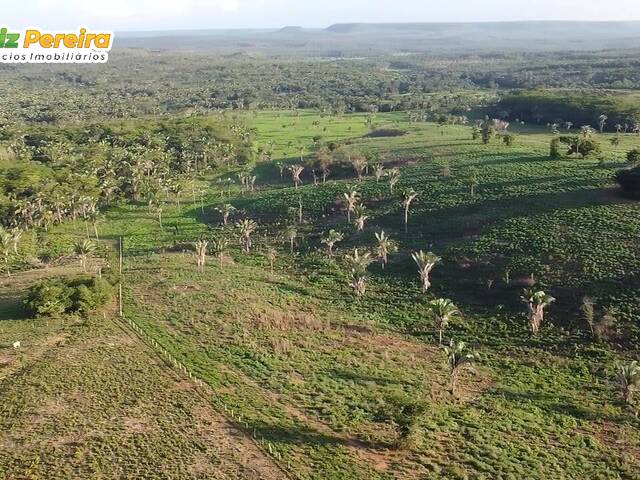 Fazenda para Venda em Sucupira do Norte - 4