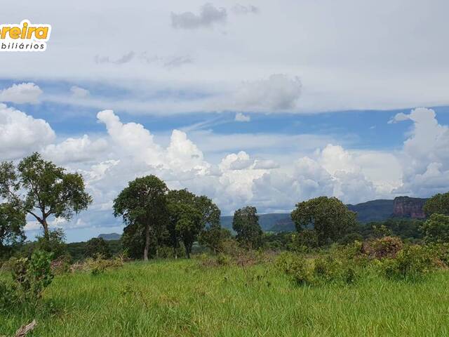 #2700 - Fazenda para Venda em Aquidauana - MS - 3