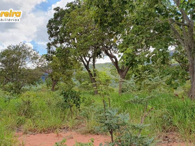 Fazenda para Venda em Aquidauana - 5