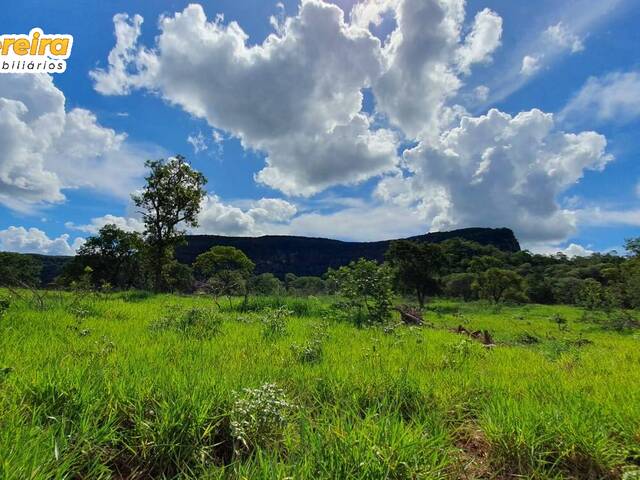 Fazenda para Venda em Aquidauana - 4
