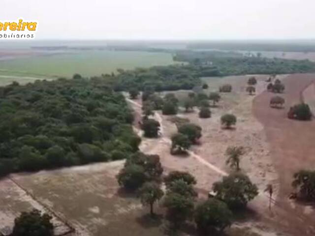 Venda em São Félix Xingu - São Félix do Xingu