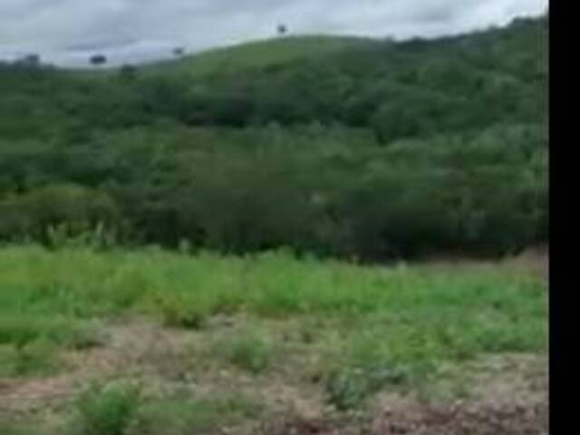 Fazenda para Venda em Bonito - 4