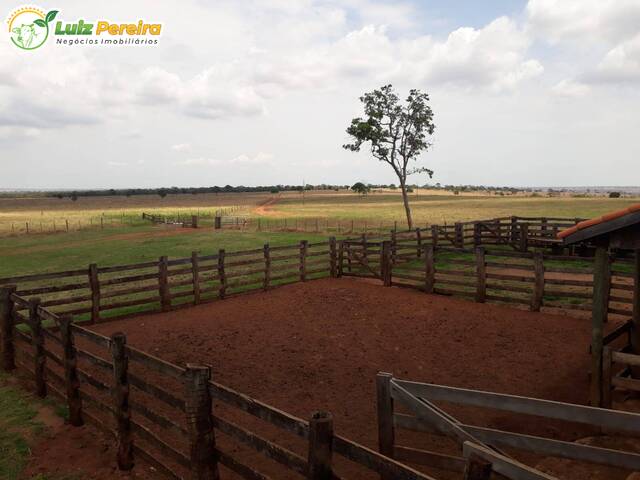 Fazenda para Venda em Camapuã - 5