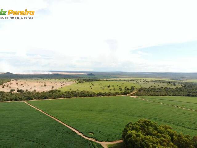 #2705 - Fazenda para Venda em Itiquira - MT - 1