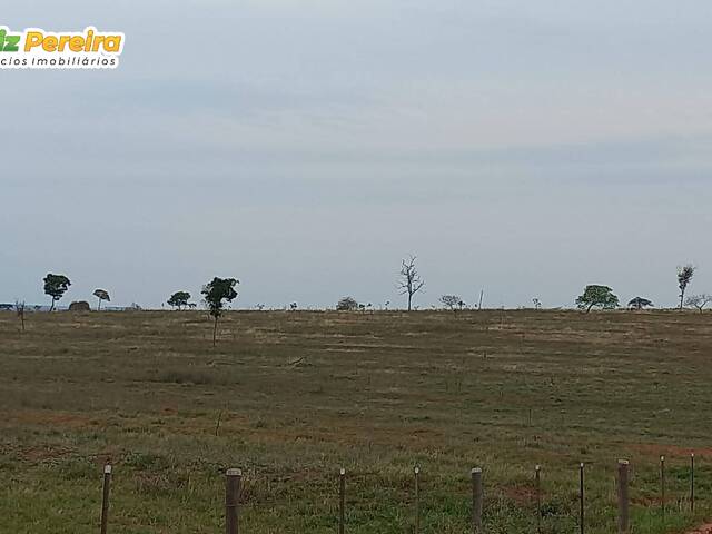 #2705 - Fazenda para Venda em Itiquira - MT - 3