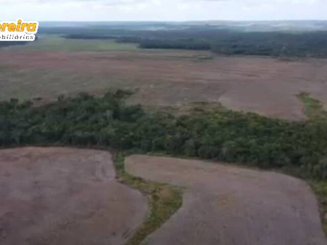 #2707 - Fazenda para Venda em Santa Maria das Barreiras - PA - 1