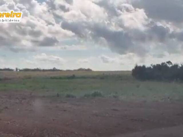 Fazenda para Venda em Santa Maria das Barreiras - 5
