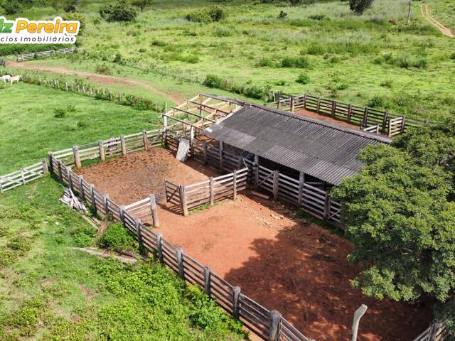 Fazenda para Venda em Conceição do Araguaia - 5