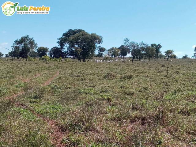 #2709 - Fazenda para Venda em Pedro Gomes - MS - 3