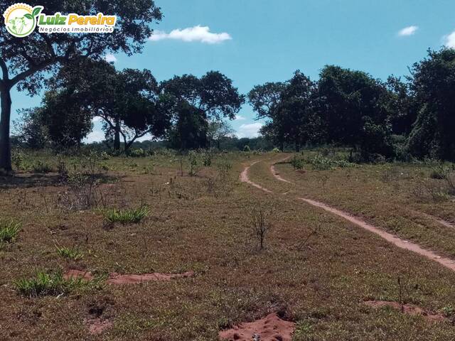 Fazenda para Venda em Pedro Gomes - 5