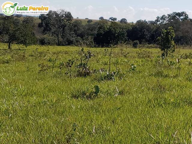 Fazenda para Venda em Pedro Gomes - 4