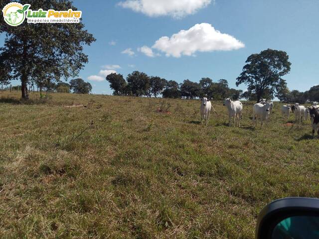 #2709 - Fazenda para Venda em Pedro Gomes - MS - 2