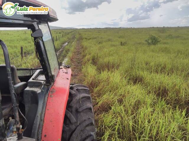 Fazenda para Venda em Corumbá - 5