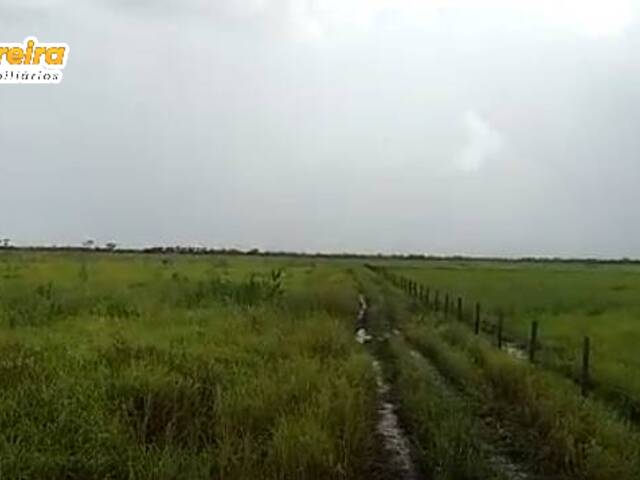 #2710 - Fazenda para Venda em Corumbá - MS - 1