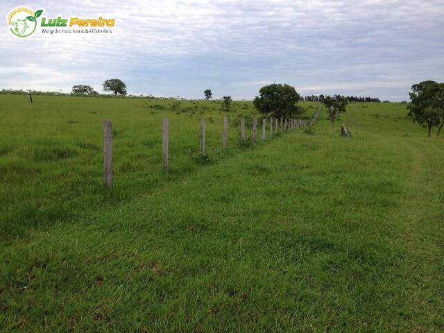 #2712 - Fazenda para Venda em Bonito - MS - 2