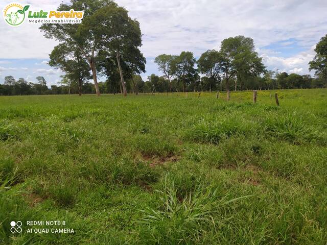 #2713 - Fazenda para Venda em Guia Lopes da Laguna - MS - 1