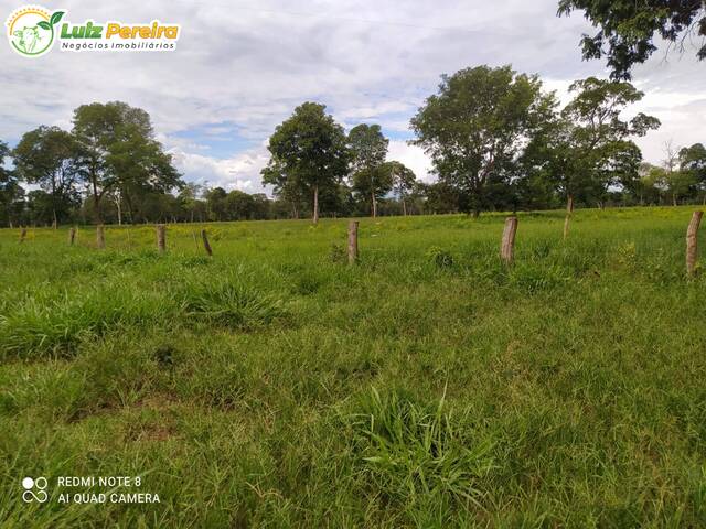 #2713 - Fazenda para Venda em Guia Lopes da Laguna - MS - 2