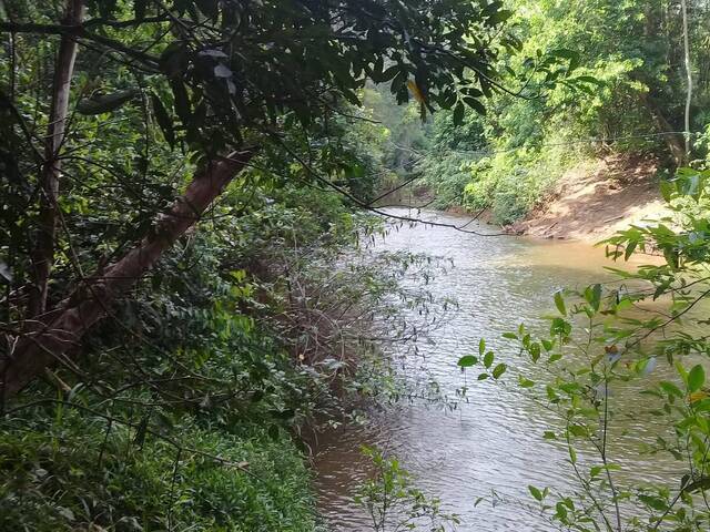 Venda em Zona Rural - Centenário