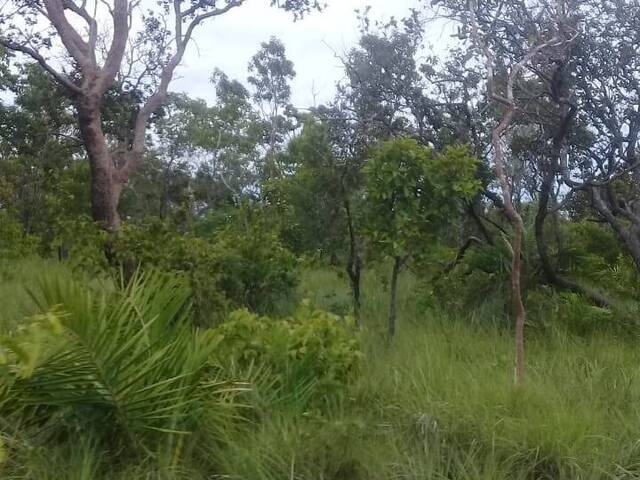 #2711 - Fazenda para Venda em Centenário - TO - 1