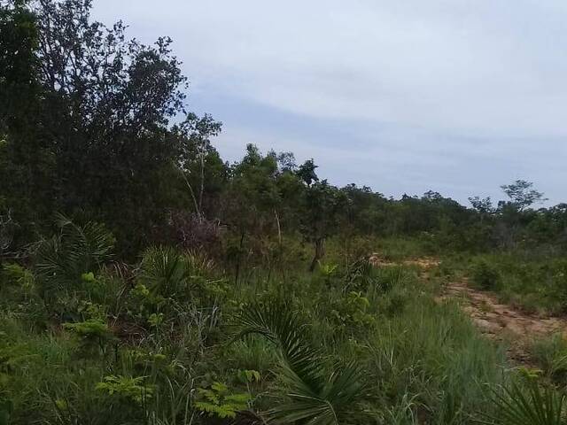 #2711 - Fazenda para Venda em Centenário - TO - 3