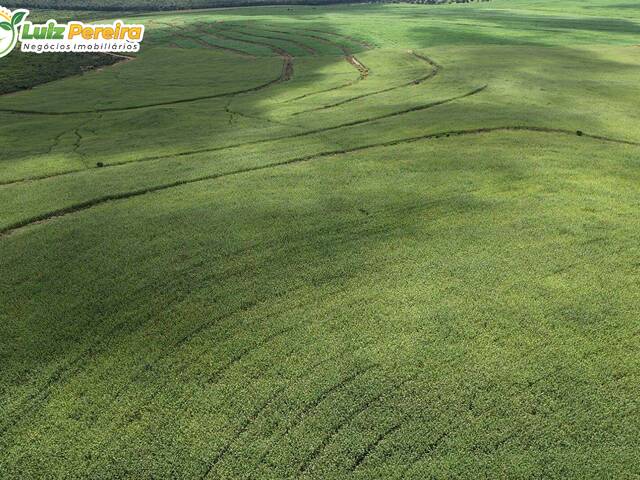 Fazenda para Venda em Mirador - 5