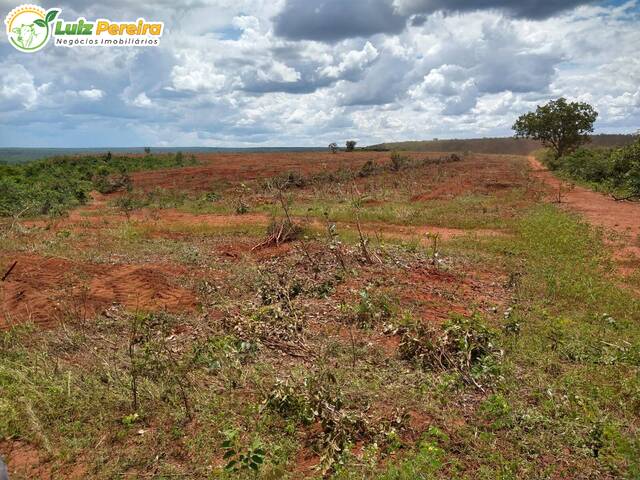 Fazenda para Venda em Alto Parnaíba - 5