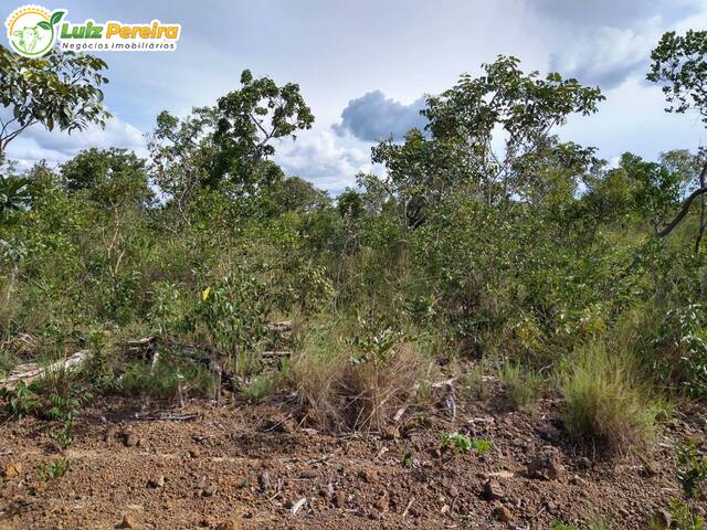 #2716 - Fazenda para Venda em Alto Parnaíba - MA - 2