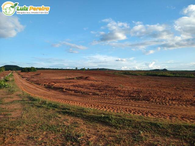 Fazenda para Venda em Alto Parnaíba - 4