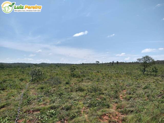 Venda em Zona Rural - Alto Parnaíba