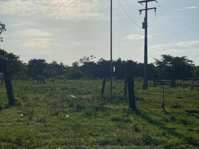 Fazenda para Venda em Santa Maria das Barreiras - 4