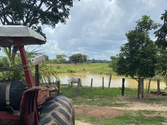 Fazenda para Venda em Santa Maria das Barreiras - 5