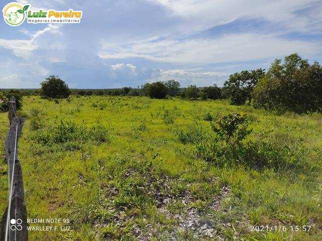 Fazenda para Venda em Dois Irmãos do Tocantins - 4