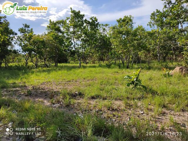 #2719 - Fazenda para Venda em Dois Irmãos do Tocantins - TO - 2