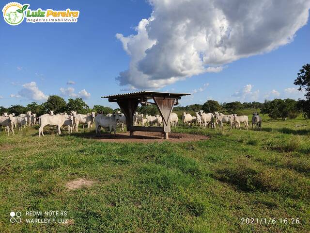 #2719 - Fazenda para Venda em Dois Irmãos do Tocantins - TO