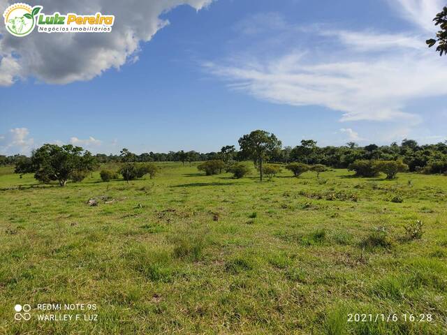 #2719 - Fazenda para Venda em Dois Irmãos do Tocantins - TO - 3