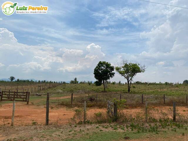 Fazenda para Venda em Rio Maria - 4